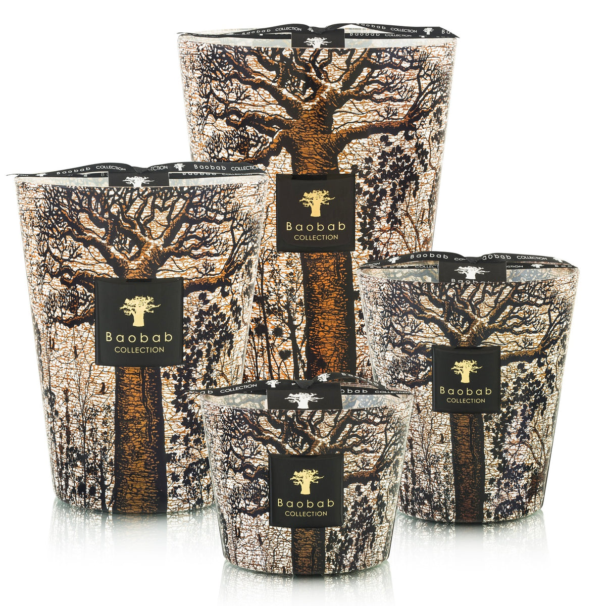 Baobab Bougie Morondo Sacred Trees